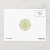 Carte postale Opossum. (Dos)