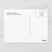 Carte Postale Opossum 1 (Dos)