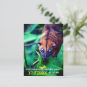 Carte Postale Opossum aux grands yeux (Debout devant)