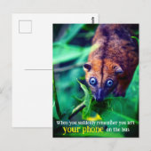 Carte Postale Opossum aux grands yeux (Devant / Derrière)