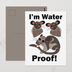 Carte Postale Opossum d'eau Je suis Étanche Drôle