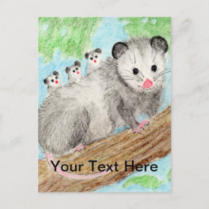 Carte postale Opossum Mom
