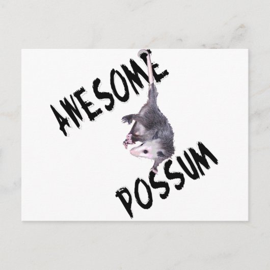 Carte Postale Opossum Possum génial (Devant)