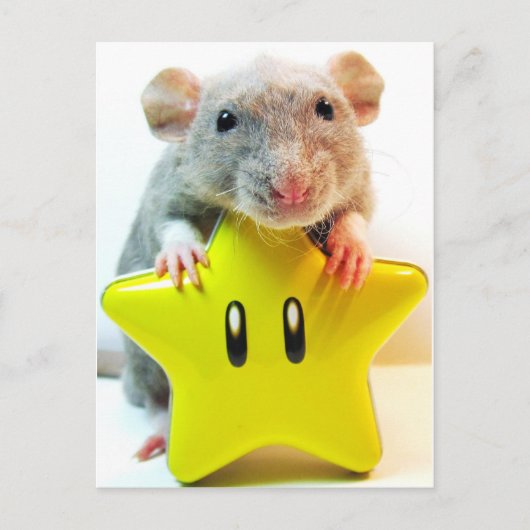 Carte Postale Optimus Star (Devant)