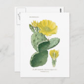 Carte Postale Opuntia vulgaris (Devant / Derrière)