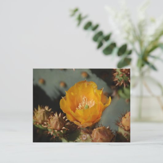 Carte Postale Or du désert (Debout devant)