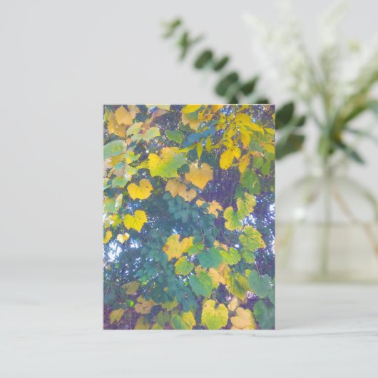 CARTE POSTALE OR FERMER (Debout devant)