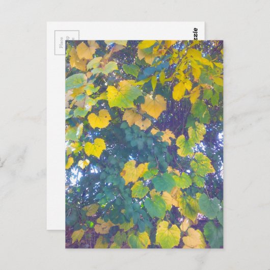 CARTE POSTALE OR FERMER (Devant / Derrière)