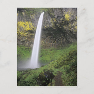 Carte Postale OR, gorge du Columbia, chutes Elowah, McCord 2