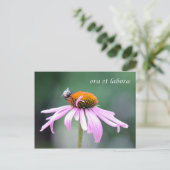 Carte Postale ora et labora (Debout devant)