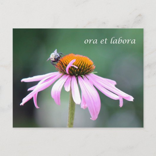 Carte Postale ora et labora (Devant)