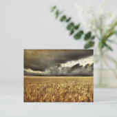 Carte postale orageuse (Debout devant)