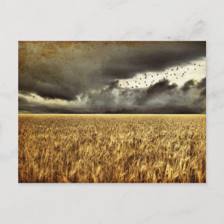 Carte postale orageuse