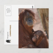 Carte Postale Orang Maman et Enfant (Devant / Derrière)