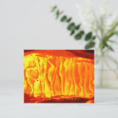 Carte Postale Orange (Debout devant)