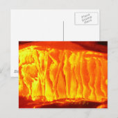 Carte Postale Orange (Devant / Derrière)