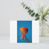 Carte Postale Orange (Debout devant)