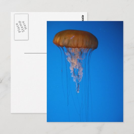 Carte Postale Orange (Devant / Derrière)