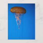 Carte Postale Orange (Devant)