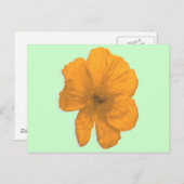 Carte Postale Orange Aid/ PopArt Flower (Devant / Derrière)
