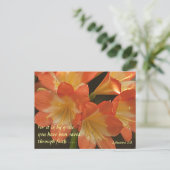 Carte Postale Orange Amaryllis (Debout devant)