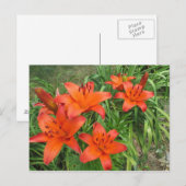 Carte Postale orange asiatique (Devant / Derrière)