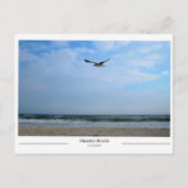 Carte Postale Orange Beach Alabama (Devant)