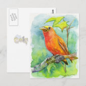 Carte Postale Orange Bird (Devant / Derrière)