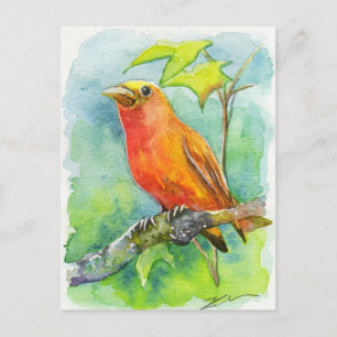 Carte Postale Orange Bird