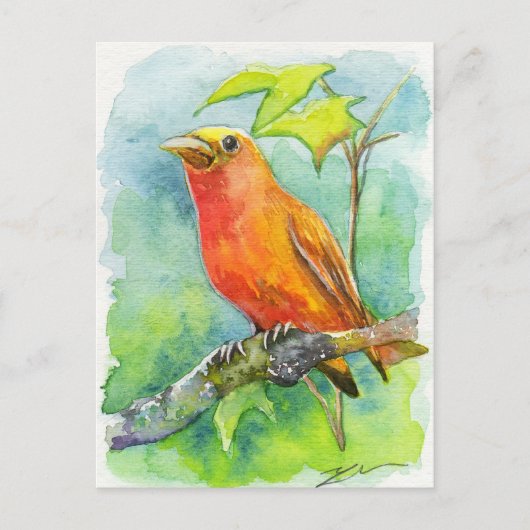 Carte Postale Orange Bird (Devant)