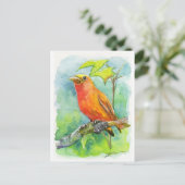 Carte Postale Orange Bird (Debout devant)