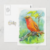 Carte Postale Orange Bird (Devant / Derrière)