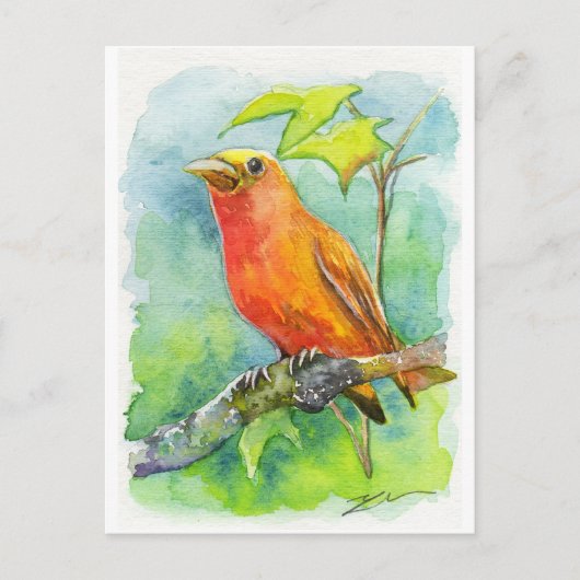 Carte Postale Orange Bird (Devant)
