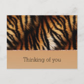 Carte Postale Orange Black Tiger (Devant)