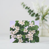 Carte Postale Orange Blossom (Debout devant)