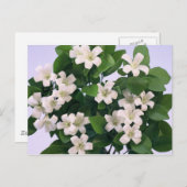 Carte Postale Orange Blossom (Devant / Derrière)