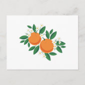 Carte Postale Orange Blossoms (Devant)