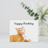 Carte Postale Orange cat est à l'anniversaire de l'arrière - pla (Debout devant)