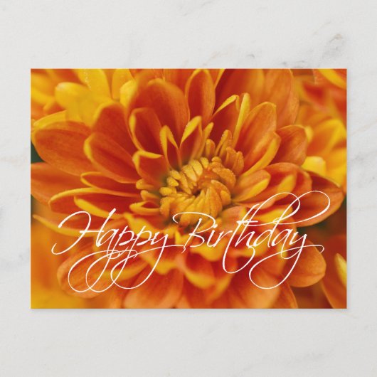Carte Postale Orange Chrysanthemum Joyeux anniversaire (Devant)