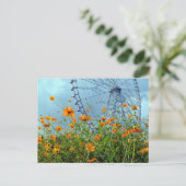Carte Postale Orange Cosmos Fleurs & Ferris Roue : Tokyo Postca (Debout devant)