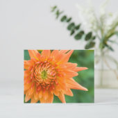 Carte Postale Orange Dahlia (Debout devant)