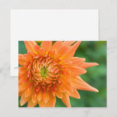 Carte Postale Orange Dahlia (Devant / Derrière)