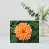 Carte Postale Orange Dahlia - Fleur et Jardin (Debout devant)