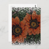 Carte postale Orange Daisy Balls (Devant / Derrière)