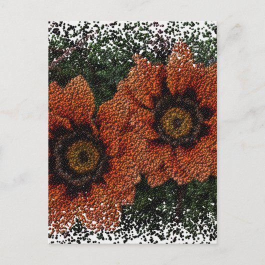 Carte postale Orange Daisy Balls (Devant)