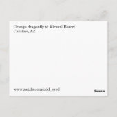 Carte postale Orange Dragonfly (Dos)