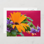 Carte Postale Orange Et Purple Flower (Devant / Derrière)