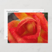 Carte postale orange et rose jaune (Devant / Derrière)