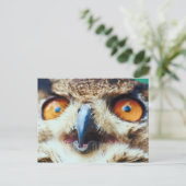 Carte Postale Orange Eyed Owl (Debout devant)