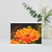 Carte postale Orange Flower (Debout devant)